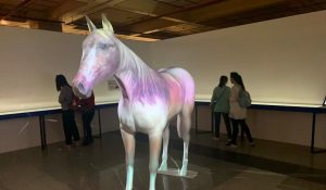 動物異想、故宮展覽、藝術展、統包、工程、裝修、商業設計